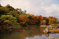 紅葉