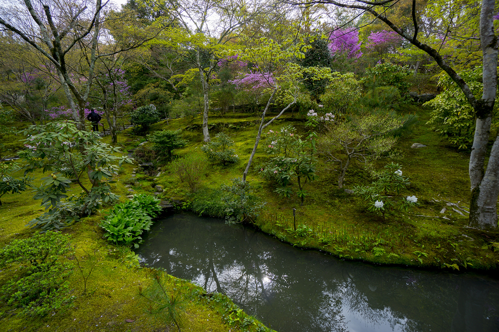 天龍寺2015春2