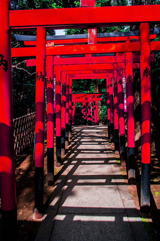 上野・鳥居
