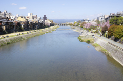 三条大橋・鴨川2015春