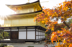 紅葉と金閣寺