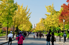 大阪城公園