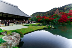 赤くなってきた天龍寺