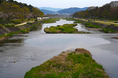 北山の鴨川