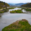 北山の鴨川