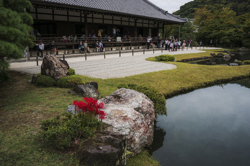 天龍寺2014秋