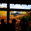 紅葉東福寺を撮る人々