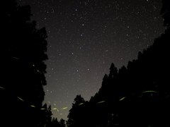 ほたると北斗七星