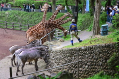 ♪～ドレミファソラシド～♪