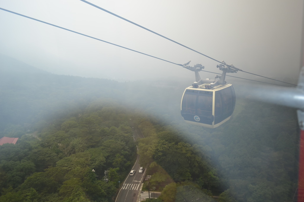 霧の中から突然現る
