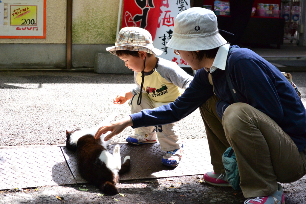じゃれあい