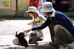 じゃれあい