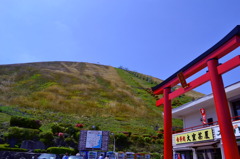 青と緑と赤