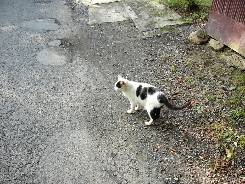 20030630 001