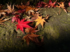 20031209 002