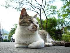 20030928 001