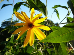 20030810 003