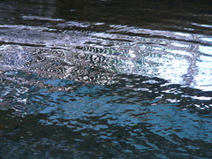 20110624 002