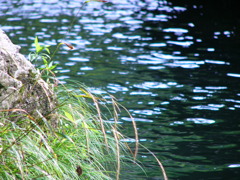 20110624 001