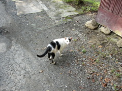 20030630 002