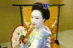 芸者　geisya