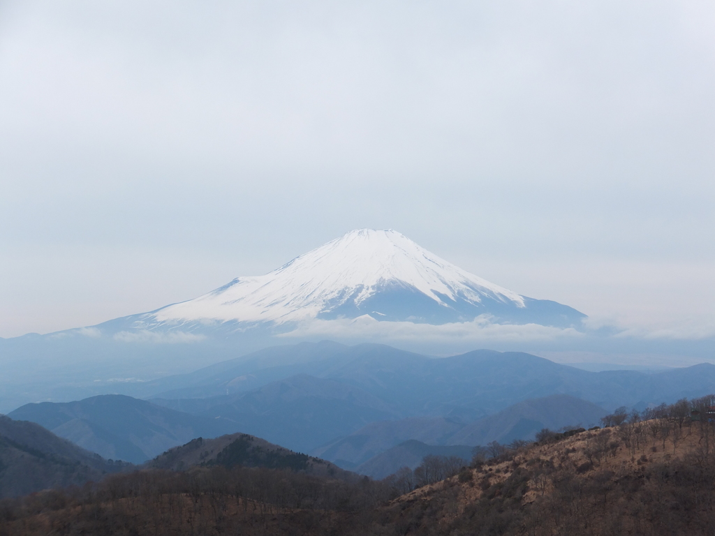 富士山