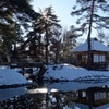 雪の庭園