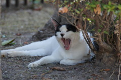 眠っ・・・