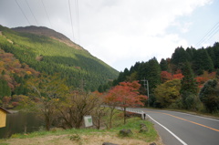箱根の秋