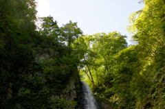 白神山地