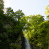 白神山地