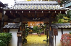 楠妣庵観音寺(なんぴあんかんのんじ)