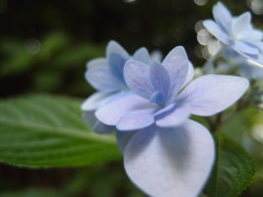 P6190380