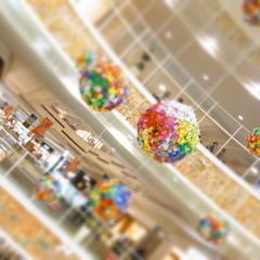 カラー