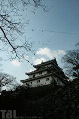 和歌山城