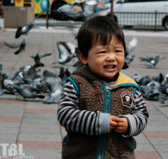 子供と鳩