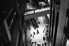 monochrome world