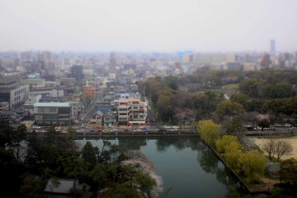 一度は、、