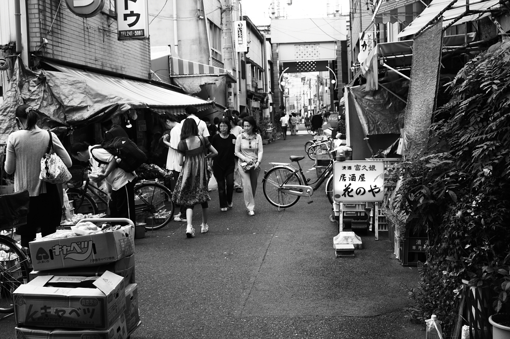 monochrome world