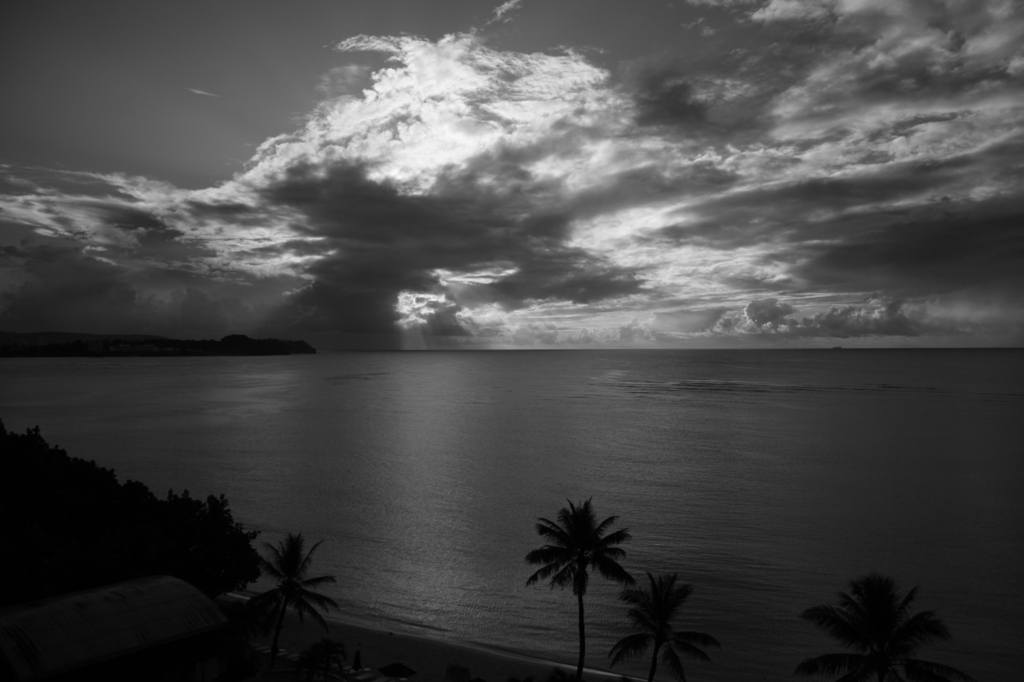 monochrome world