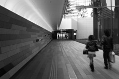 monochrome world