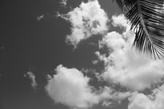 monochrome world