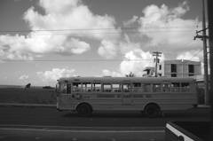 monochrome world