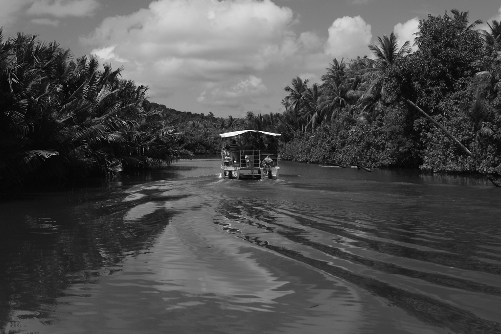 monochrome world