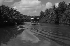 monochrome world