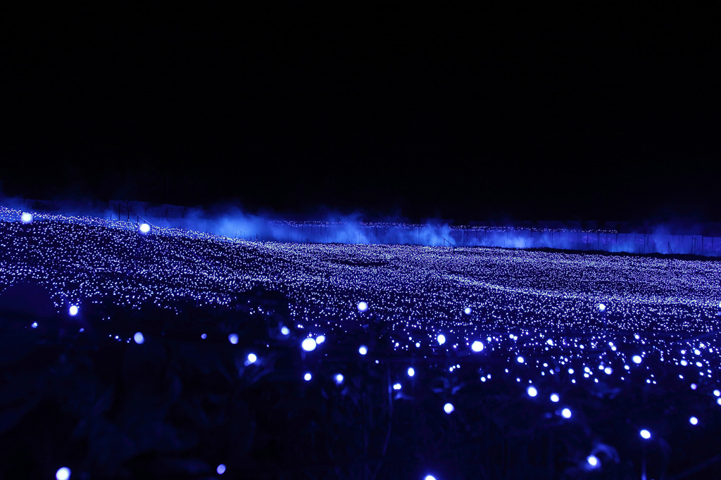 LED