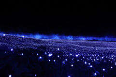LED