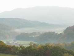 朝霧の牧場