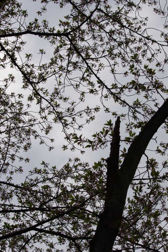 IMGP0470