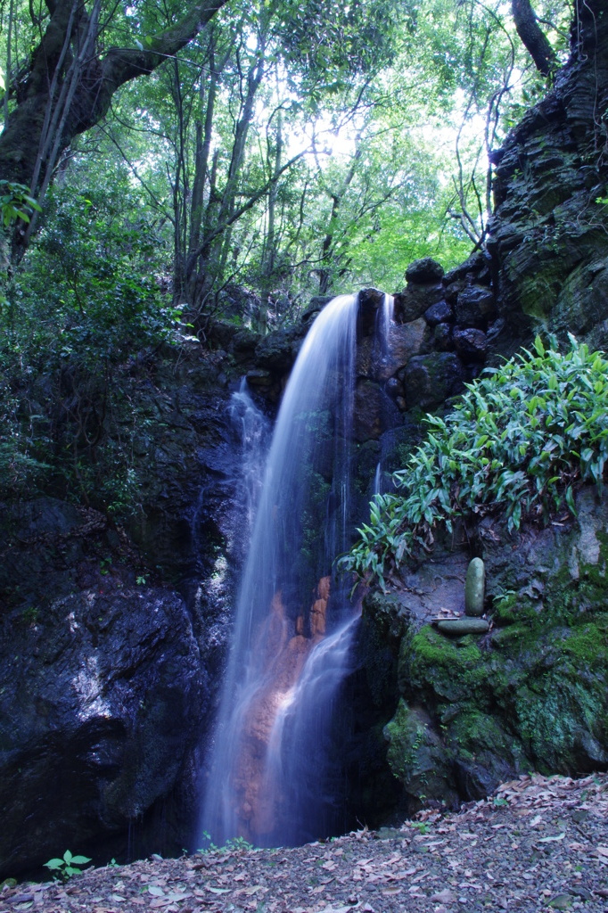 IMGP1638